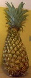 Ananas bouteille